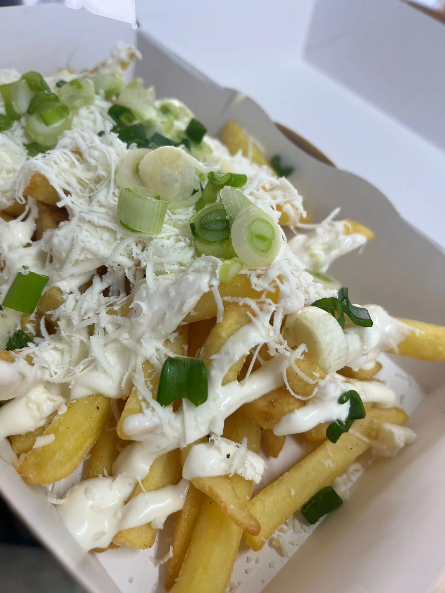 Transilvania Fries
